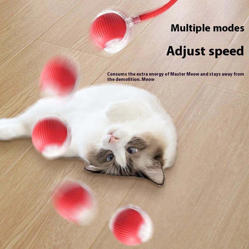 Smart Interactive Cat Toy