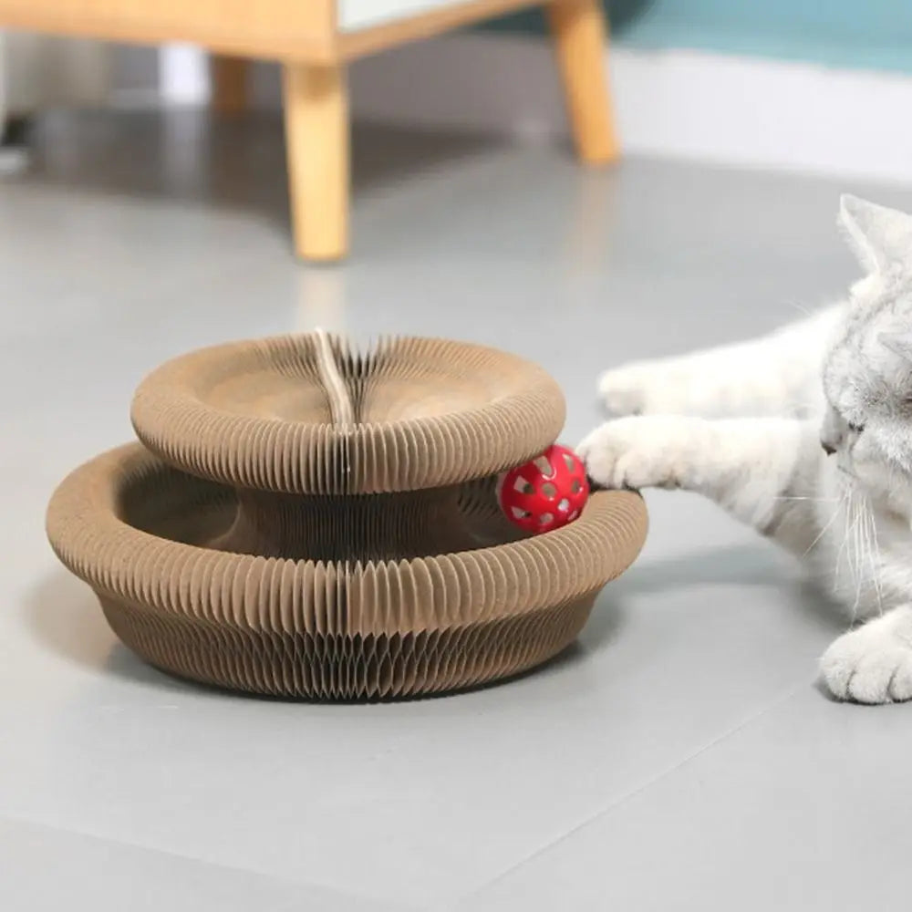 Transformable Kitty Kurlz Cat Toy