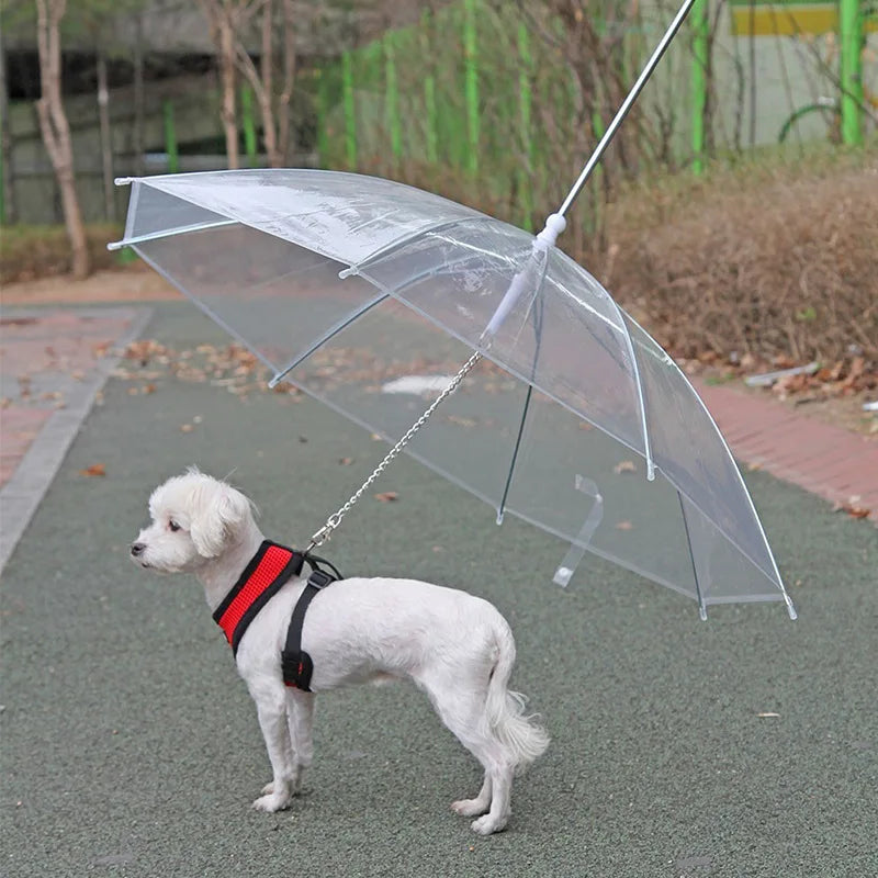 Rainproof & Snowproof Pet Umbrella Leash