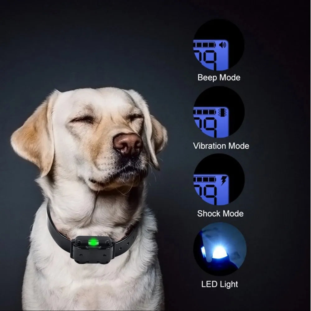 Electric Dog Training Collar