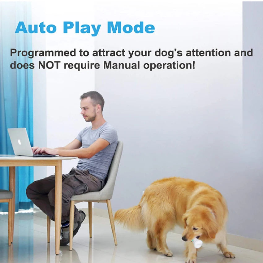 Smart Interactive Pet Toy