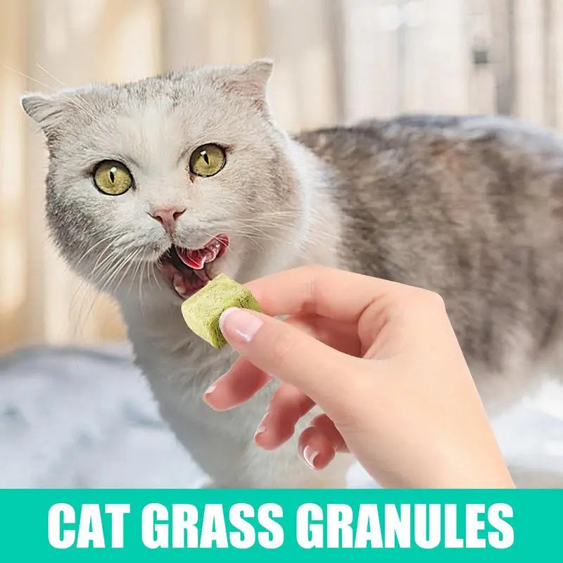 60g Cat Teeth Edible Catnip Toy
