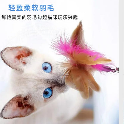 Interactive Cat Toy