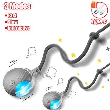 Smart Interactive Cat Toy