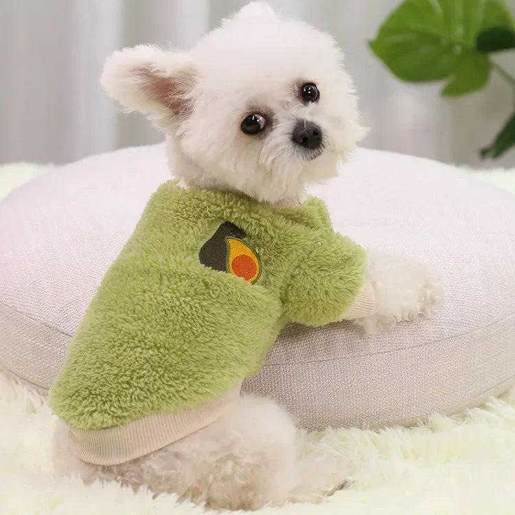 Warm Dog Clothes for Small Dogs