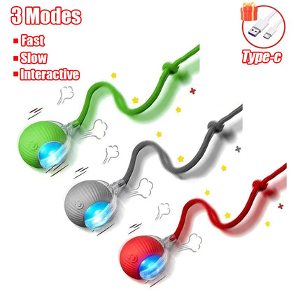 Smart Interactive Cat Toy