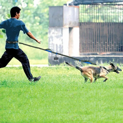 Reflective Hands-Free Dog Leash
