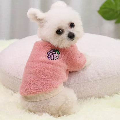 Warm Dog Clothes for Small Dogs