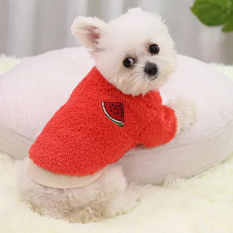 Warm Dog Clothes for Small Dogs