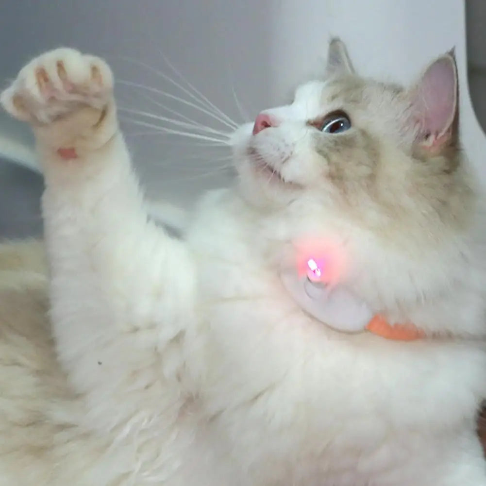 Wearable Automatic Cat Toy with Laser Light Point