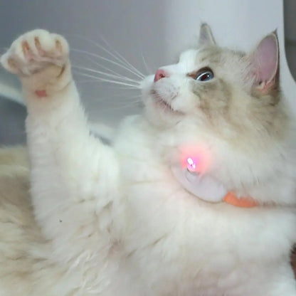 Wearable Automatic Cat Toy with Laser Light Point