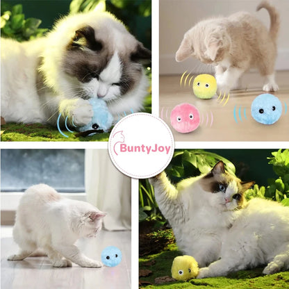 Electric Interactive Cat Toy