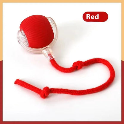 Smart Interactive Cat Toy