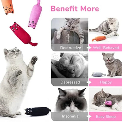 Rustle Sound Catnip Toy for Cats