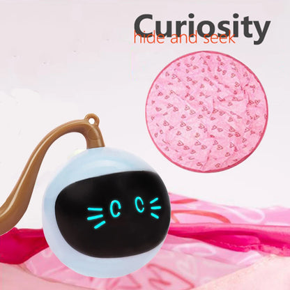 Automatic Electric Motion Cat Toy