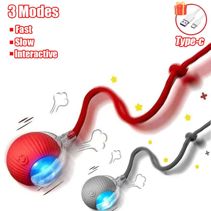 Smart Interactive Cat Toy