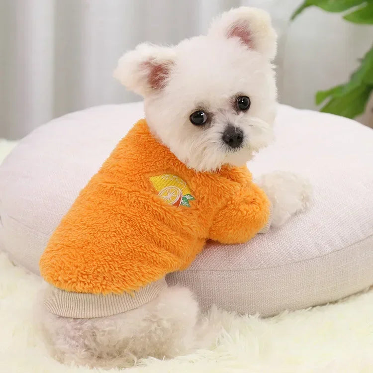 Warm Dog Clothes for Small Dogs