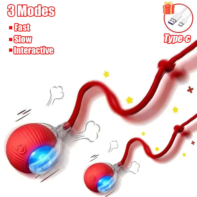 Smart Interactive Cat Toy