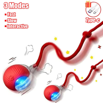Smart Interactive Cat Toy