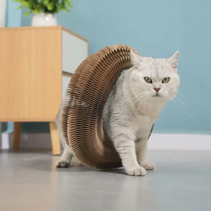 Transformable Kitty Kurlz Cat Toy