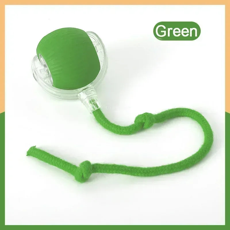 Smart Interactive Cat Toy