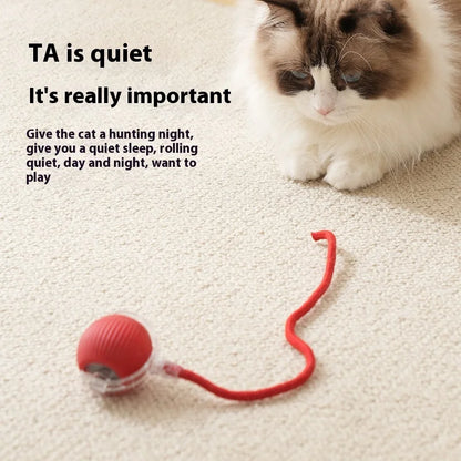 Smart Interactive Cat Toy
