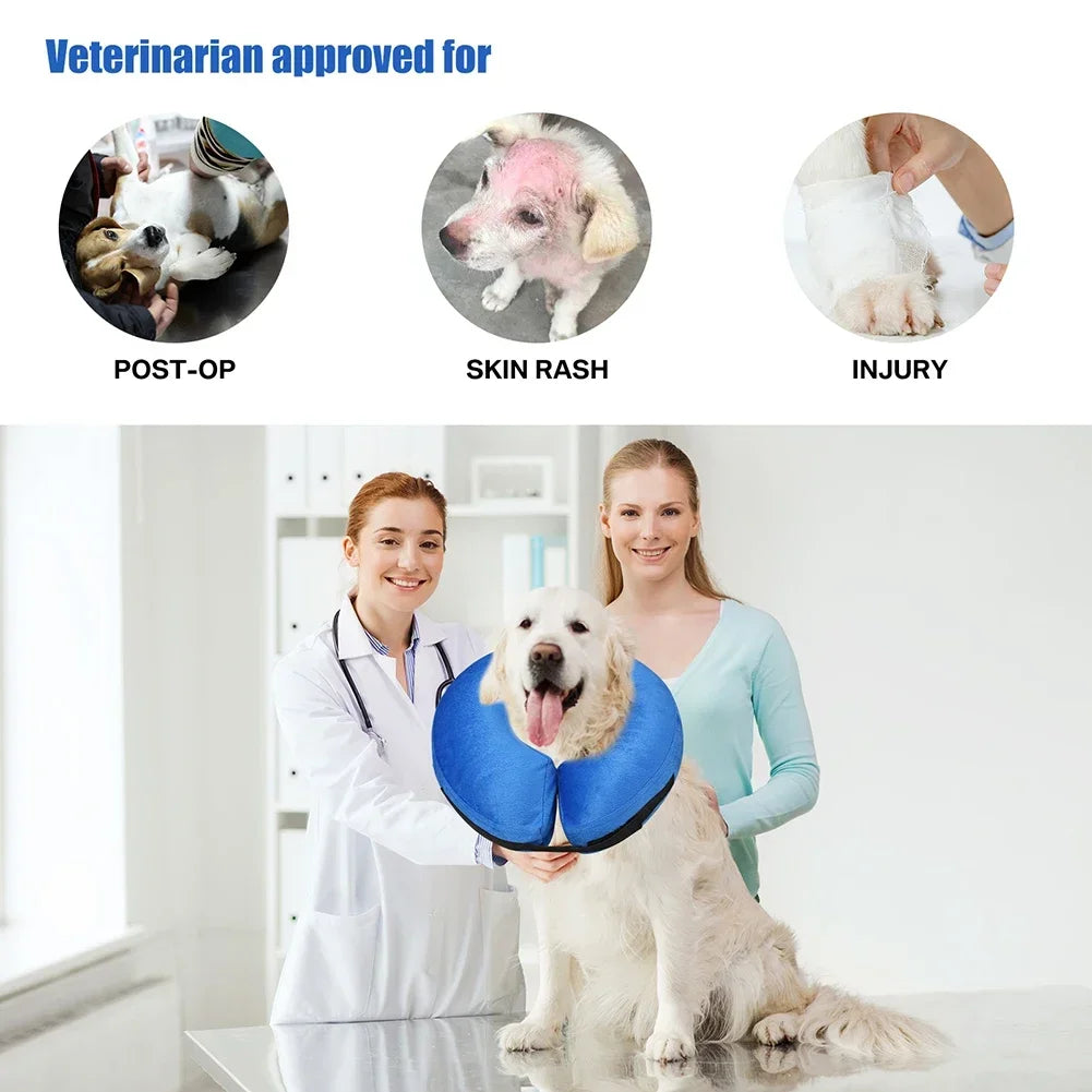 Inflatable Dog Recovery Collar