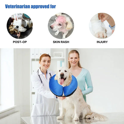 Inflatable Dog Recovery Collar