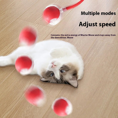 Smart Interactive Cat Toy