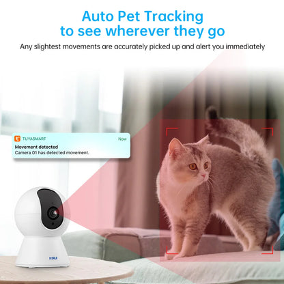 Night Vision & AI Motion Alerts