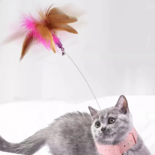 Interactive Cat Toy