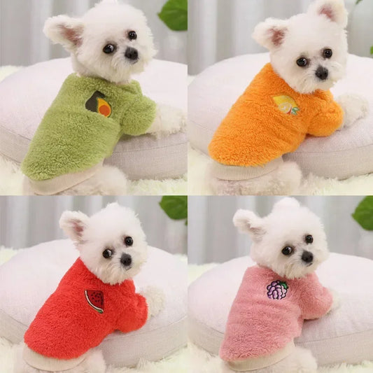Warm Dog Clothes for Small Dogs