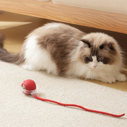 Smart Interactive Cat Toy
