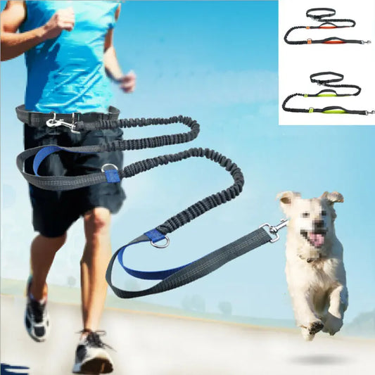 Reflective Hands-Free Dog Leash