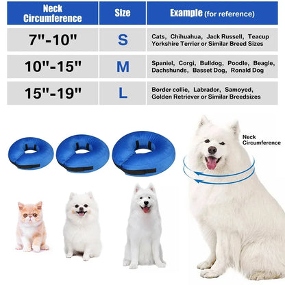 Inflatable Dog Recovery Collar