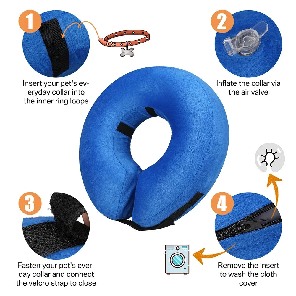 Inflatable Dog Recovery Collar