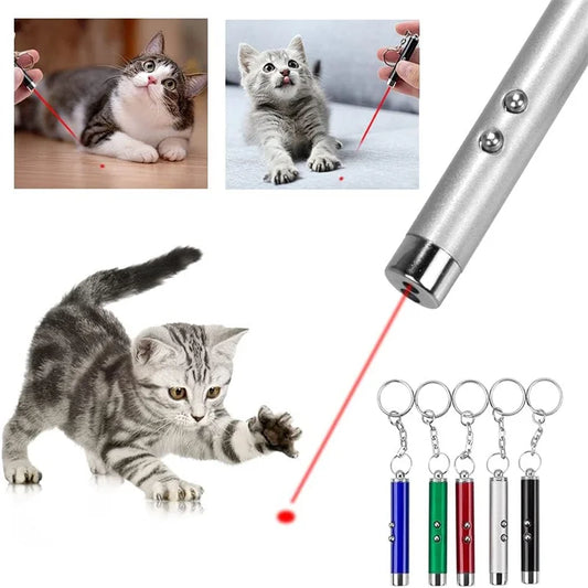 Mini Cat & Dog Laser Pointer Toy