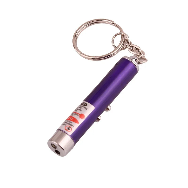 Mini Cat & Dog Laser Pointer Toy