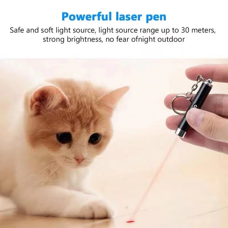 Mini Cat & Dog Laser Pointer Toy