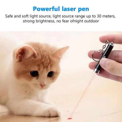 Mini Cat & Dog Laser Pointer Toy