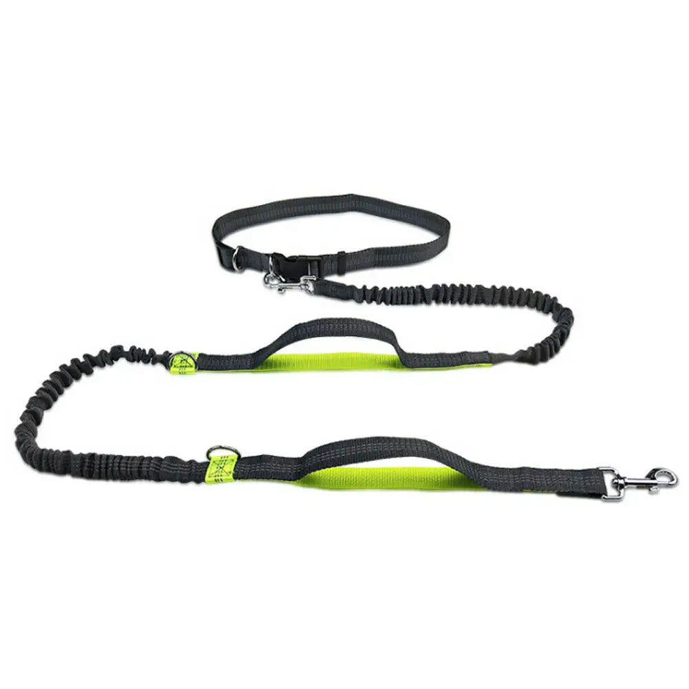 Reflective Hands-Free Dog Leash