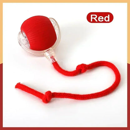 Smart Interactive Cat Toy