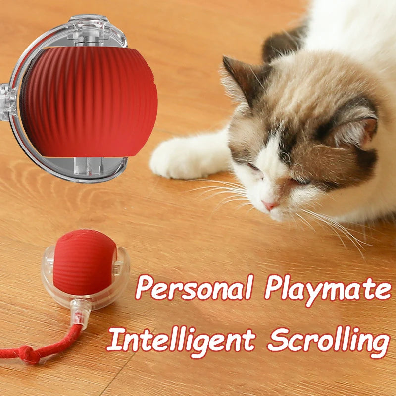 Smart Interactive Cat Toy