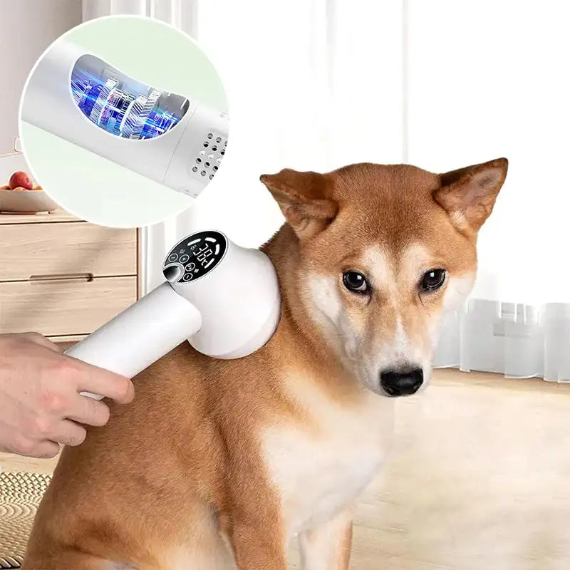 Smart 2-in-1 Dog Hair Dryer & Comb