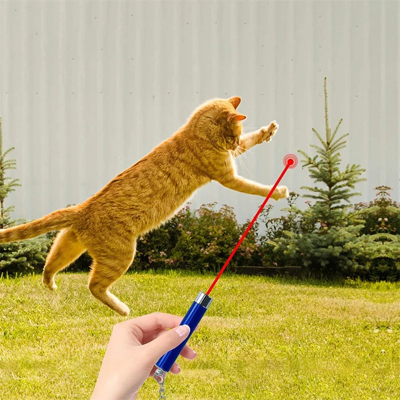 Mini Cat & Dog Laser Pointer Toy