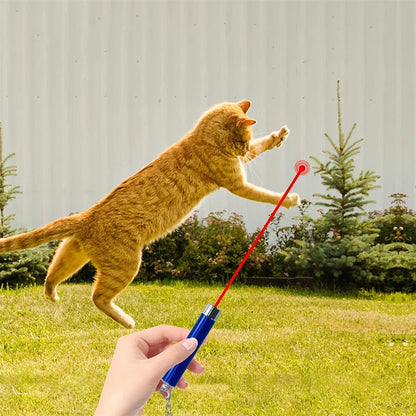 Mini Cat & Dog Laser Pointer Toy