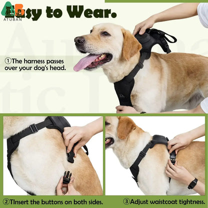2-in-1 No-Pull Dog Harness