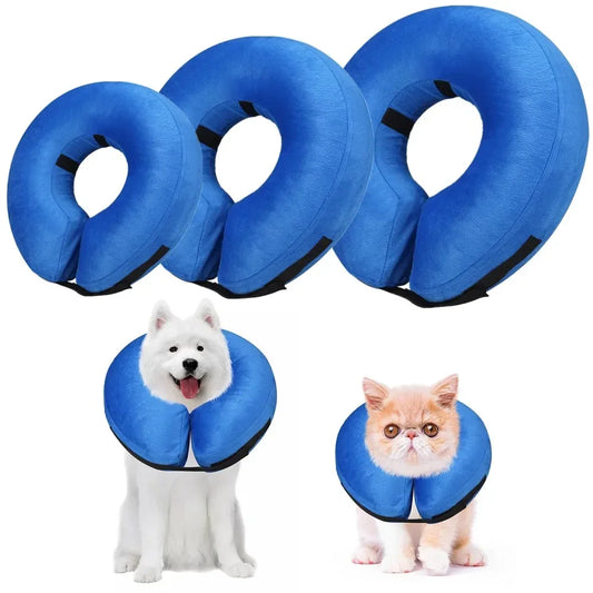 Inflatable Dog Recovery Collar