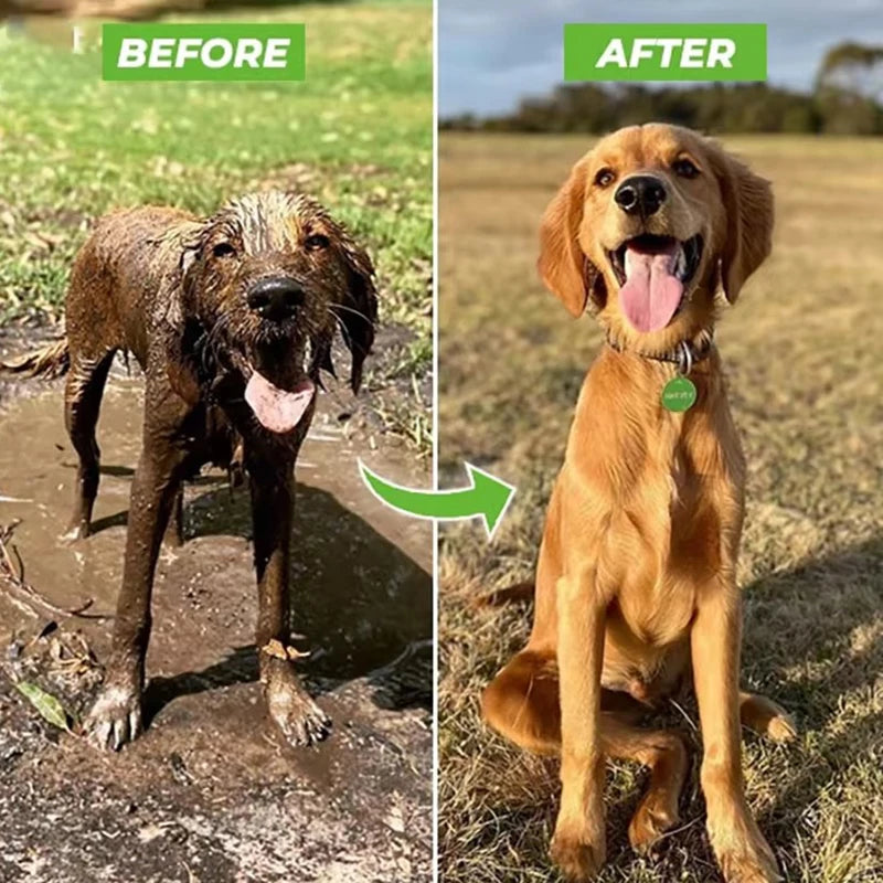 High-Pressure Pet Shower Sprayer