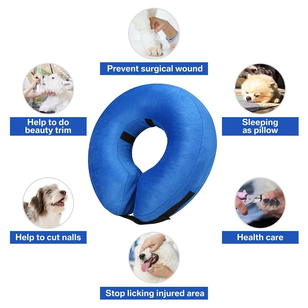 Inflatable Dog Recovery Collar